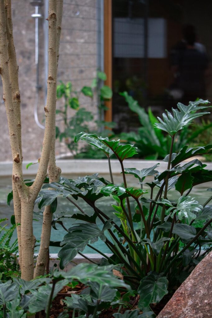 Cold plunge surrounded by plants